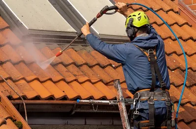 Démoussage et hydrofuge de toiture à Cistrières